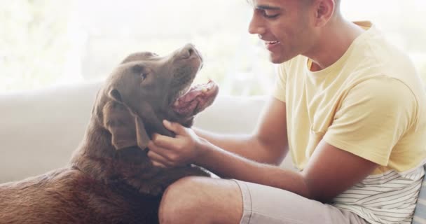幸せな出産の男自宅で犬のペッティング スローモーション リラクゼーション ライフスタイル 自由な時間と国内生活 変わらない — ストック動画