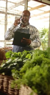 Afro-Amerikan erkek esnafın yemek dükkanında akıllı telefondan konuştuğu dikey video, yavaş çekim. İş sahibi, organik gıda, sağlıklı yaşam tarzı ve yerel işletme, değişmemiş.