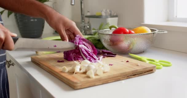 Close Mãos Homem Biracial Avental Cortar Legumes Cozinha Câmera Lenta — Vídeo de Stock