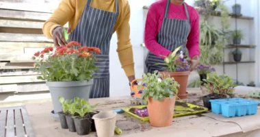 Afrika kökenli Amerikalı çiftin önlüklü orta kesimi evde ağır çekimde dikiliyorlar. Rahatlama, yaşam tarzı, birliktelik ve aile hayatı, değişmemiş..