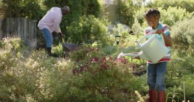Mutlu son sınıf Afro-Amerikan dedesi ve torunu güneşli bahçede çiçek suluyor, ağır çekimde. Organik doğa, bahçıvanlık, aile, birliktelik ve sağlıklı yaşam tarzı, değişmemiş..