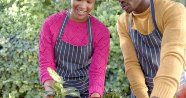 Önlüklü Mutlu Afro Amerikan Çift Güneşli Bahçeye Yavaş Çekimde Dikiliyorlar — Stok video