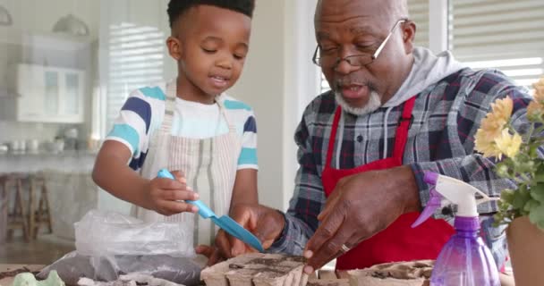 Afrikansk Amerikansk Bestefar Sønnesønn Med Femmere Planter Blomster Balkong Sakte – stockvideo