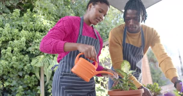 Önlüklü Mutlu Afro Amerikan Çift Güneşli Bahçeye Yavaş Çekimde Dikiliyorlar — Stok video