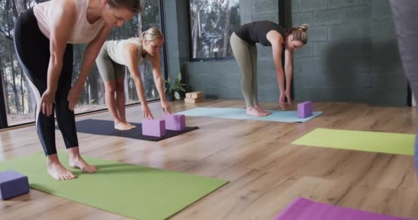 Diversas Mujeres Enfocadas Estirándose Juntas Esteras Clase Yoga Con Entrenadora — Vídeo de stock