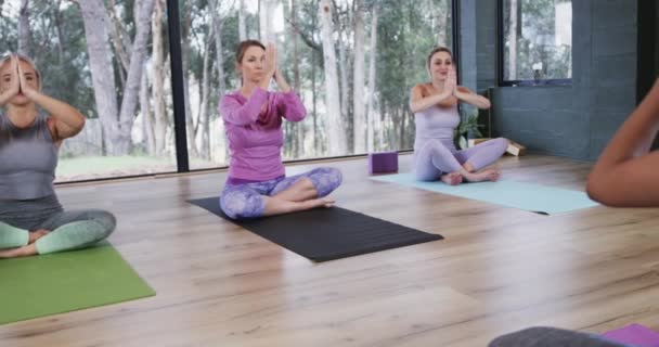 女性コーチとヨガクラスのマットで一緒に瞑想する多様な女性に焦点を当て スローモーション フィットネス 運動と健康的なライフスタイル 変更なし — ストック動画