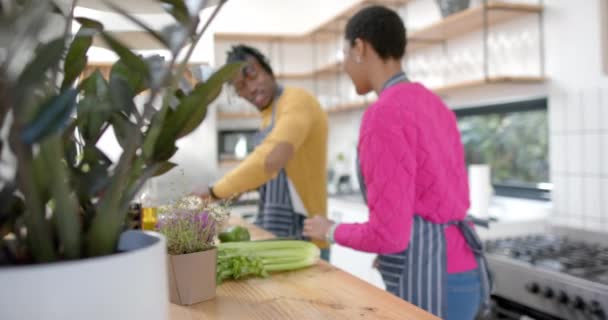 Onnellinen Afrikkalainen Amerikkalainen Pari Esiliinoissa Valmistamassa Ruokaa Keittiössä Hidastettuna Ruoanlaitto — kuvapankkivideo