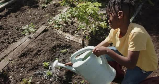Afrikai Amerikai Fiú Zöldségeket Locsolt Napos Kertben Lassított Felvétel Bioélelmiszerek — Stock videók