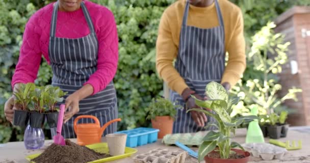 快乐的非洲裔美国夫妇在阳光灿烂的花园里种着围裙 动作缓慢 生活方式 团结和家庭生活 — 图库视频影像