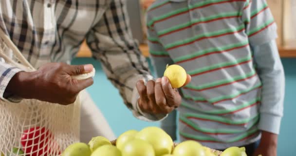 Feliz Abuelo Afroamericano Senior Nieto Comprando Tienda Alimentos Saludables Cámara — Vídeo de stock