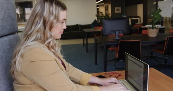 사이즈 사무실 라운지에서 노트북을 사용하는 인테리어 비즈니스 관능적 사무실 의사소통 — 비디오