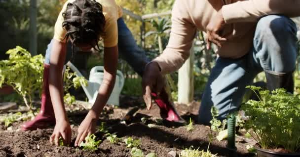 Afrikansk Farfar Och Sonson Planterar Grönsaker Solig Trädgård Slow Motion — Stockvideo