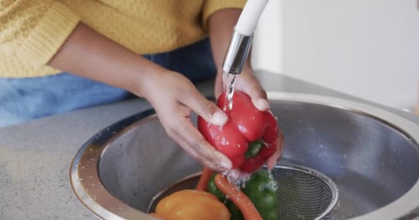 Mittelteil Einer Afrikanisch Amerikanischen Frau Die Gemüse Der Küchenspüle Spült — Stockvideo