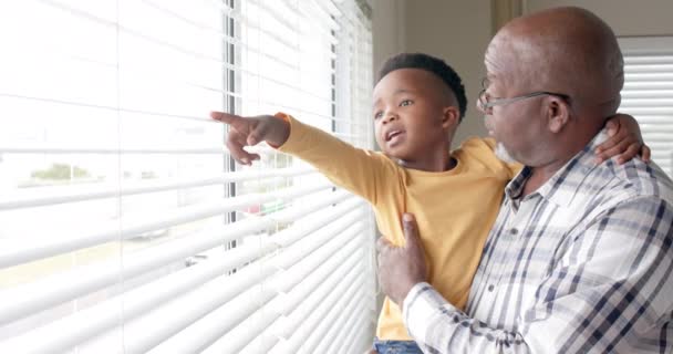 Χαρούμενος Αφροαμερικάνος Εγγονός Και Παππούς Αγκαλιασμένοι Από Παράθυρο Στο Σπίτι — Αρχείο Βίντεο