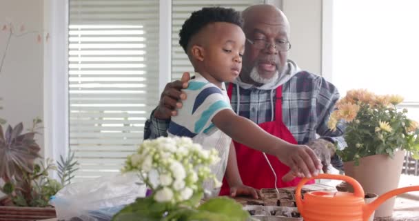 Αφροαμερικάνος Παππούς Και Εγγονός Αγκαλιάζουν Ποτίζουν Λουλούδια Στο Μπαλκόνι Αργή — Αρχείο Βίντεο