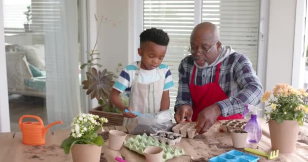 Abuelo Nieto Afroamericanos Plantando Flores Balcón Cámara Lenta Familia Estilo — Vídeo de stock