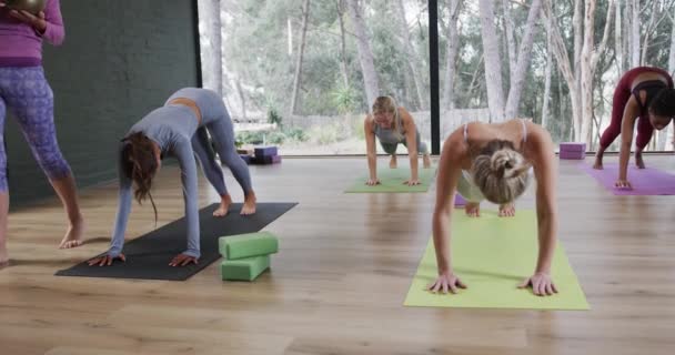 Yoga Sınıfındaki Farklı Kobralı Kadınlar Kadın Antrenörle Birlikte Yoga Sınıfındaki — Stok video