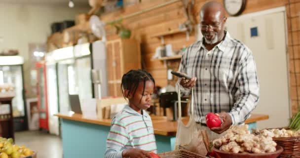 Glücklicher Älterer Afrikanisch Amerikanischer Großvater Und Enkel Beim Einkaufen Reformhaus — Stockvideo