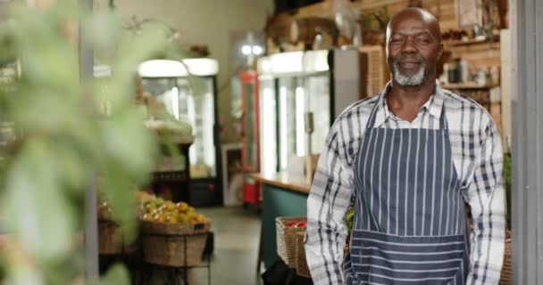 Portrett Lykkelig Amerikansk Kjøpmann Helsekostbutikken Sakte Film Forretningseier Økologisk Mat – stockvideo