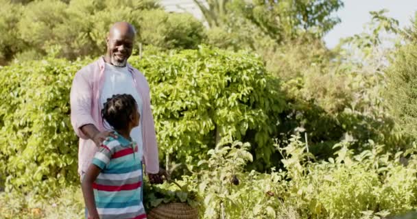 Heureux Grand Père Afro Américain Senior Petit Fils Parlant Dans — Video