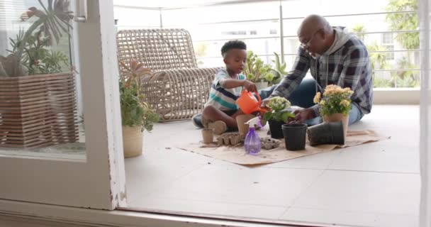 Afro Amerikaanse Grootvader Kleinzoon Planten Bloemen Balkon Slow Motion Familie — Stockvideo
