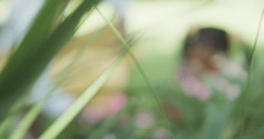 Happy african american mother and daughter planting flowers in sunny garden, slow motion. Family, togetherness, lifestyle, nature and domestic life, unaltered.