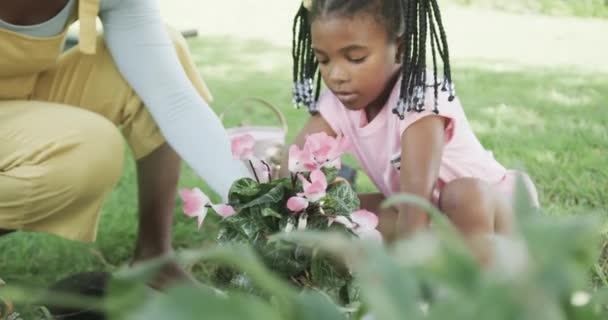 Happy African American Mother Daughter Planting Flowers Sunny Garden Slow – stockvideo