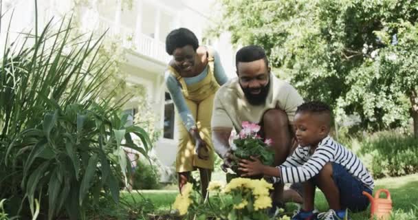快乐的非洲裔美国夫妇和儿子在阳光灿烂的花园里种花 动作缓慢 生活方式 自然和家庭生活 — 图库视频影像