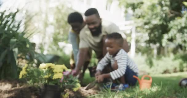 Feliz Casal Afro Americano Com Filho Plantando Flores Jardim Ensolarado — Vídeo de Stock
