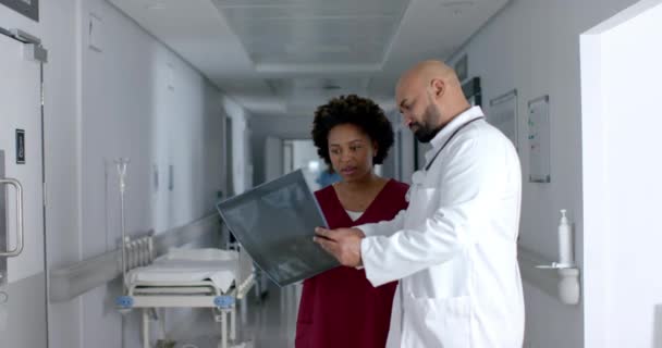 Médicos Diversos Discutem Trabalho Radiografia Corredor Câmara Lenta Hospital Trabalho — Vídeo de Stock