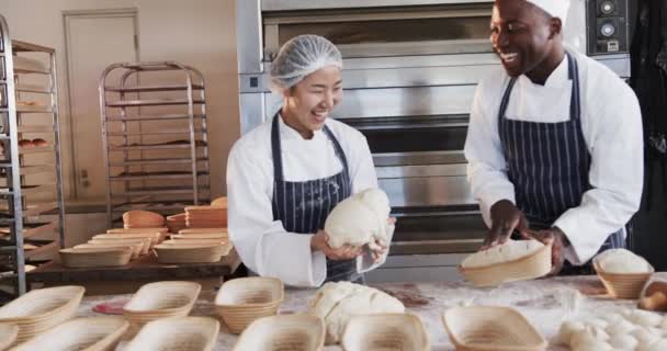 Happy Beragam Pembuat Roti Yang Bekerja Dapur Toko Roti Berlutut — Stok Video