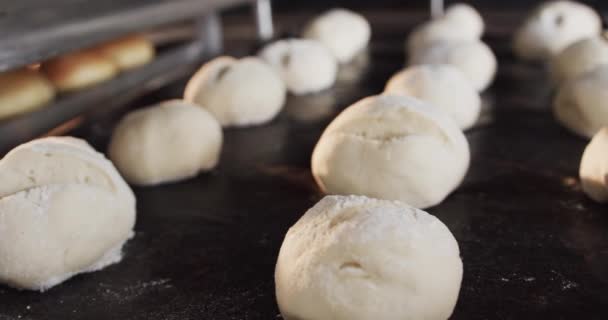 Close Raw Baked Rolls Shelves Bakery Kitchen Slow Motion Bakeries — Stock Video