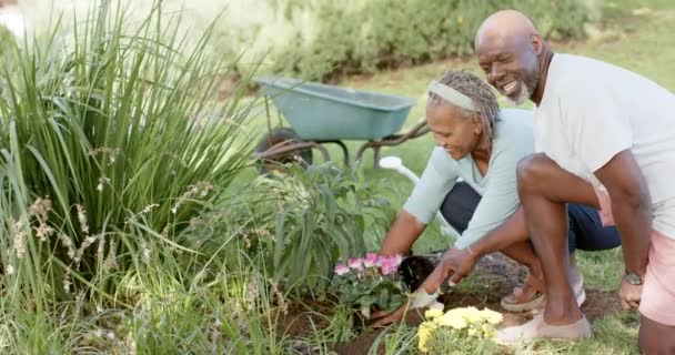 Szczęśliwa Afrykańska Para Seniorów Ogrodnictwa Słonecznym Ogrodzie Zwolnione Tempo Emerytura — Wideo stockowe