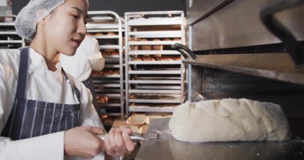 Diversos Panaderos Que Trabajan Cocina Panadería Poniendo Pan Horno Cámara — Vídeos de Stock