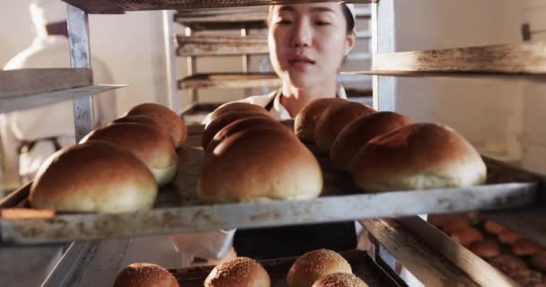 Щаслива Азіатка Пекарня Працює Хлібопекарській Кухні Тримає Лист Випічки Рулонами — стокове відео