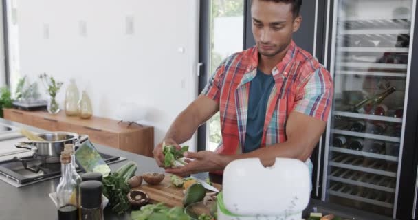 Biracial Ember Ételkészítés Komposztáló Növényi Hulladék Modern Konyhában Másolás Tér — Stock videók