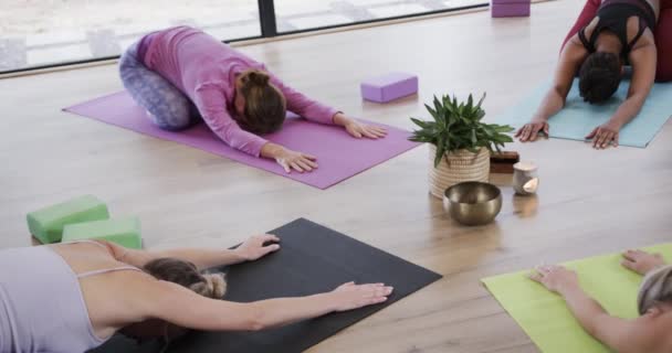 Diverse Frauen Posieren Yoga Studio Pflanze Und Klangschale Herum Unverändert — Stockvideo