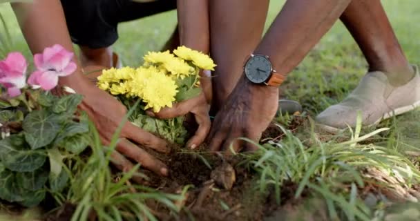 Šťastný Africký Americký Seniorský Pár Zahradničení Slunné Zahradě Zpomalený Film — Stock video