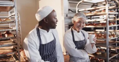 Fırın mutfağında çalışan çeşitli fırıncılar akıllı telefonları yavaş çekimde kullanıyor. Teknoloji, takım çalışması, yemek, küçük işletme, fırın ve çalışma, değiştirilmemiş.