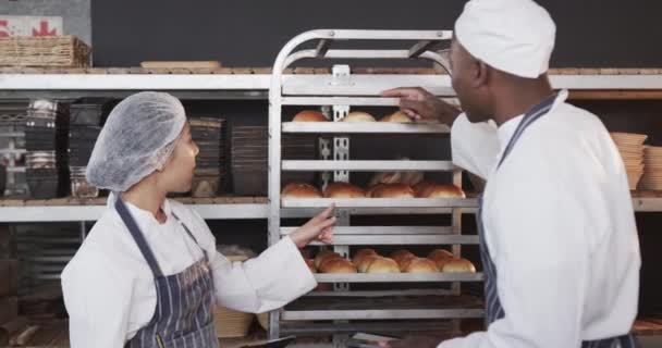 Różnorodni Piekarze Pracujący Kuchni Piekarniczej Liczący Rolki Tabletkami Zwolnionym Tempie — Wideo stockowe