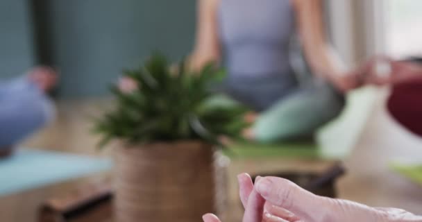Diverse Frauen Üben Sich Geduld Mudra Und Meditieren Gemeinsam Yoga — Stockvideo