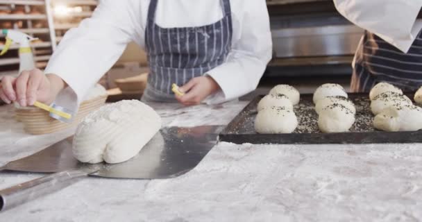 Tukang Roti Yang Bekerja Dapur Toko Roti Menaburkan Benih Pada — Stok Video