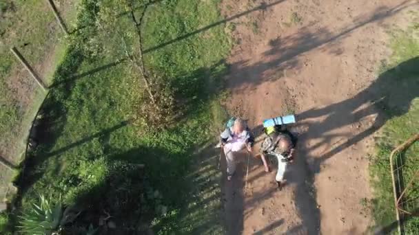 Старшая Африканская Американская Пара Рюкзаками Гуляющая Солнечной Природе Замедленная Съемка — стоковое видео