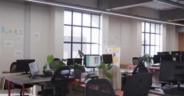 Pomieszczenie Biurowe Dużymi Oknami Krzesłami Biurkami Komputerami Lampami Roślinami Zwolnione — Wideo stockowe