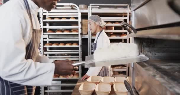 パンをゆっくりとオーブンに入れるパン屋で働く多様なパン屋 中小企業 ベーキング パン屋 変更なし — ストック動画
