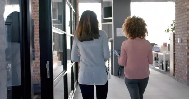 Çift Irklı Kadın Meslektaşların Ofiste Yürürken Konuştuğu Arka Plan Görüntüsü — Stok video