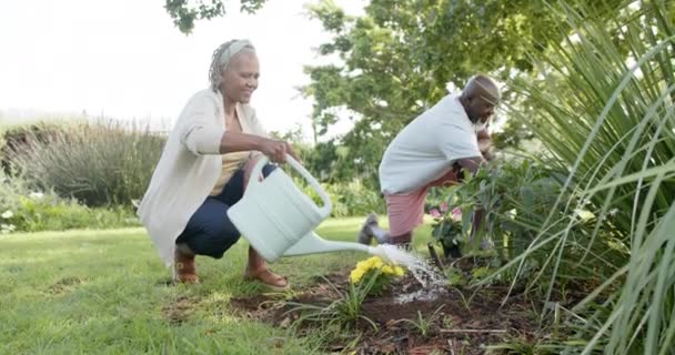 日当たりの良い庭で幸せなアフリカ系アメリカ人のシニアカップルの園芸 スローモーション 国内生活と高齢者のライフスタイル 変更なし — ストック動画