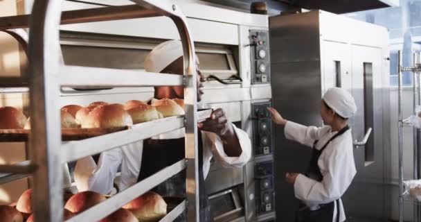 快乐多样的男女烘培者在面包店厨房工作 烘烤在烤箱里 慢动作 协同工作 小企业 烘焙和工作 未加改动 — 图库视频影像