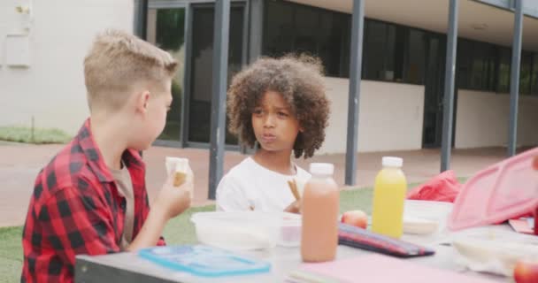 パックした昼食を食べ 学校の庭で話す2人の多様な男子のビデオ 幼少期 小学校 学習コンセプト — ストック動画