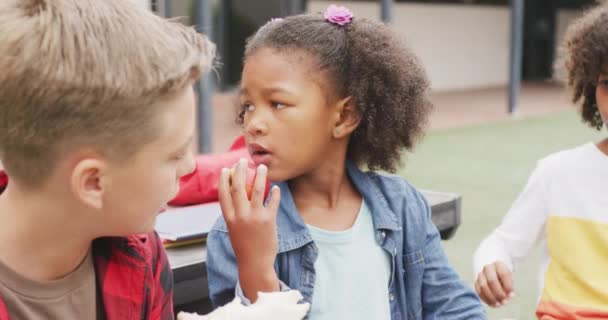 3人の子供達がパックした昼食を食べ 学校の庭で話している様子 幼少期 小学校 学習コンセプト — ストック動画
